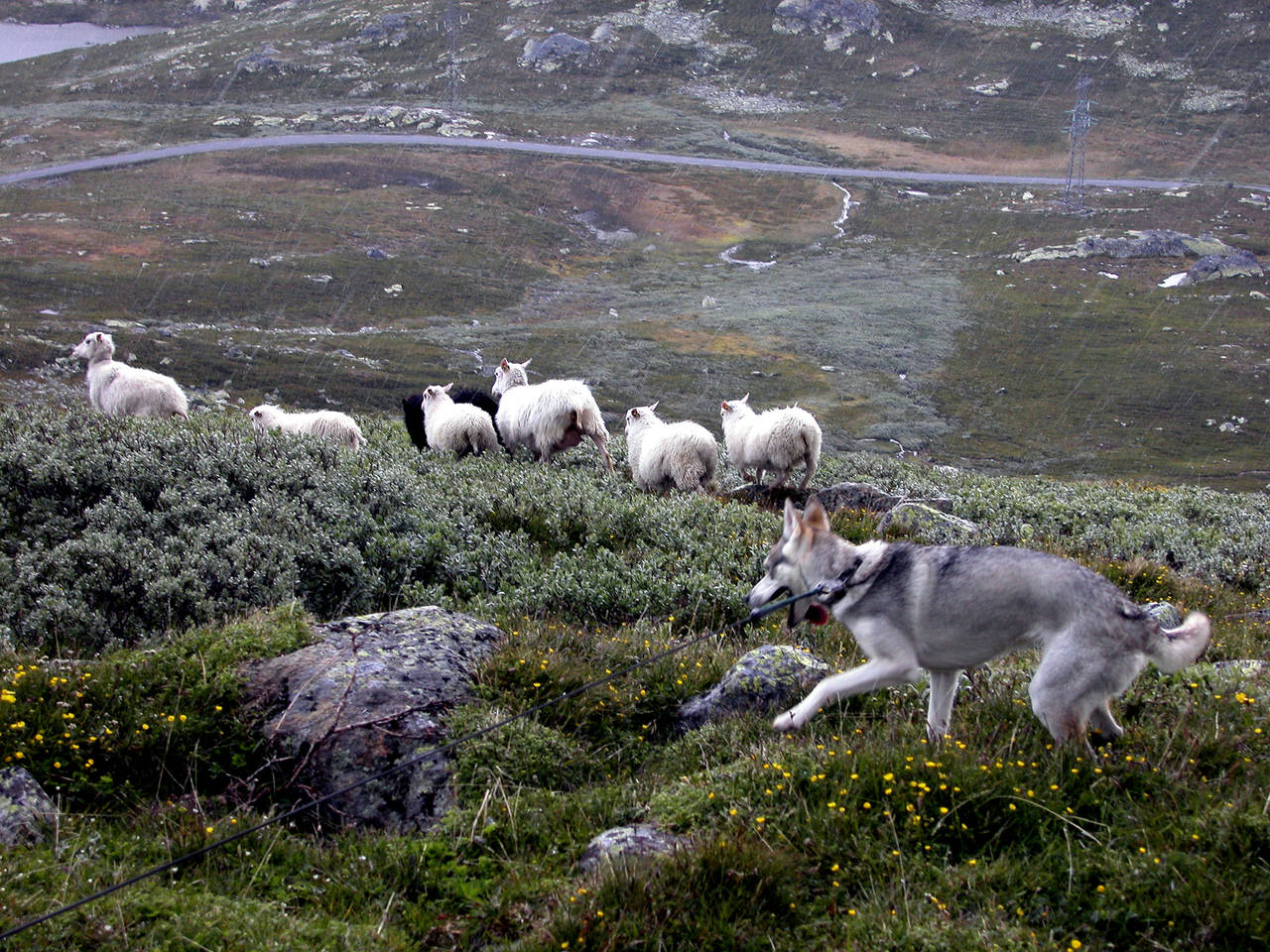 Illustrasjonsfoto: Berit Keilen / NTB scanpix