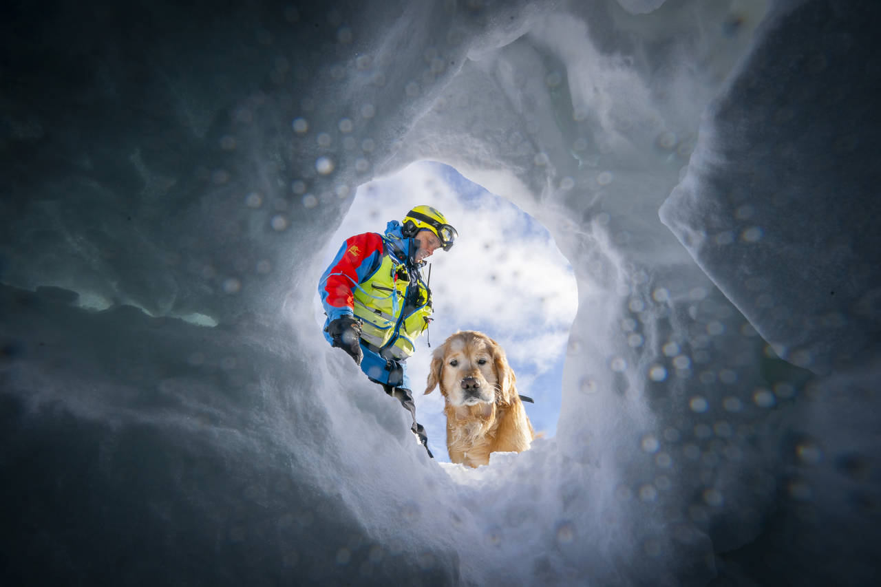 En lavinehund fra Norske Redningshunder avdeling Hordaland graver i et snøskred på Finse under en øvelse parallelt med Finsekurset til Røde Kors. Foto: Heiko Junge / NTB scanpix