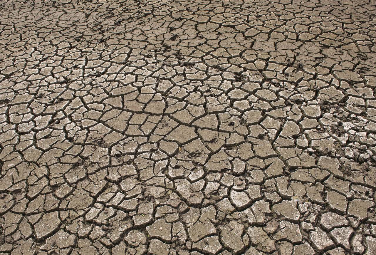 Endringer i landbruket må til for å kutte klimautslippene, slår FNs klimapanel (IPCC) fast i en ny rapport. Foto: Jens Meyer / AP Photo / NTB scanpix