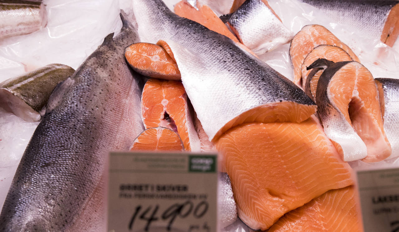 Norskprodusert fisk er en delikatesse i Russland, men nå kan eksporten som i dag går via Hviterussland også bli stanset. Foto: Terje Pedersen / NTB scanpix