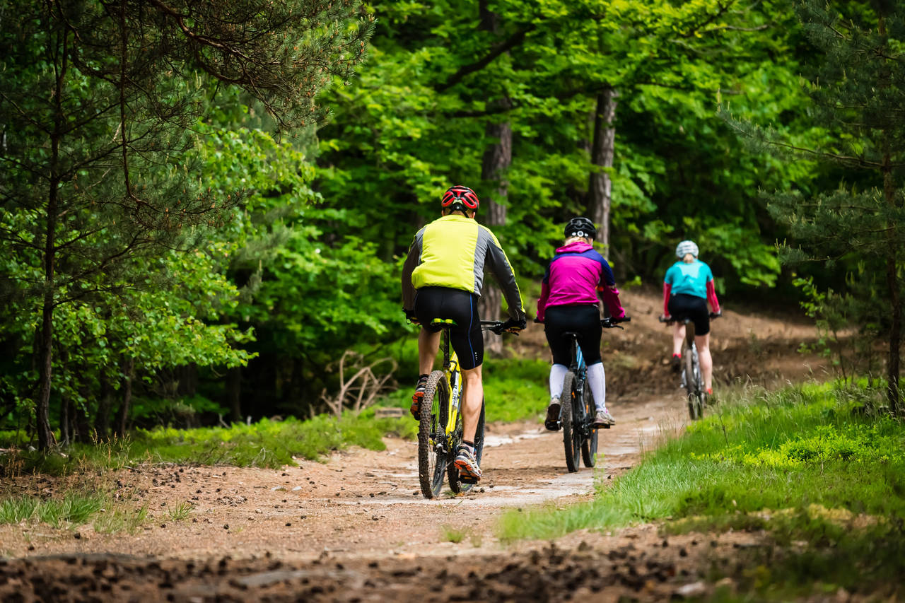 KURS? Så langt er lite erfaring overlevert fra foreldre til barn om hvordan man best trener på sykkel i skogen, minner Skiforeningens Erik Eide om. FOTO: Shutterstock