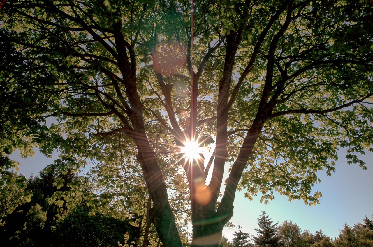 Fredag er det mye sol i vente Østafjells. Illustrasjonsfoto: Kurt Helge Røsand / KSU.NO