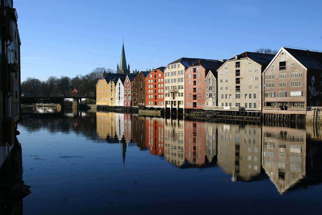 Miljøpartiet De Grønne i Trøndelag ber fylkestinget om å erklære miljø- og klimakrise. Foto: Gorm Kallestad / NTB scanpix