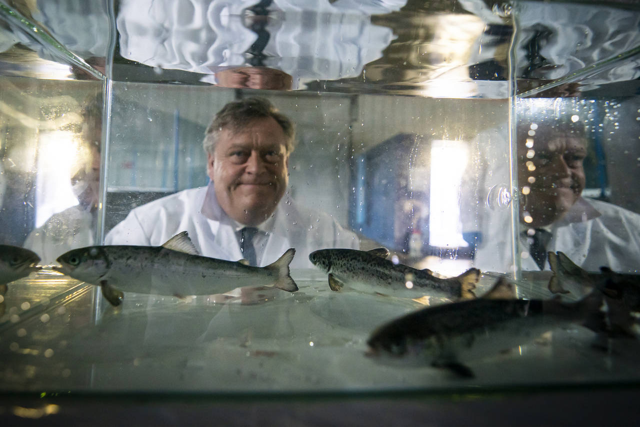 Fiskeriminister Harald T. Nesvik tror på store muligheter for norsk sjømat i Kina og Sør-Korea. Her er statsråden under et besøk i Chile i vår. Foto: Heiko Junge / NTB scanpix