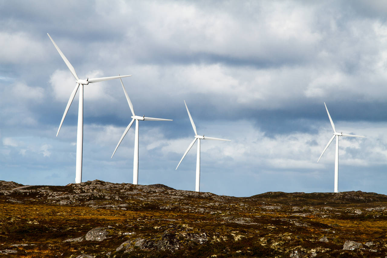 Vindmøller på Smøla. Foto: Steinar Melby / KSU.NO