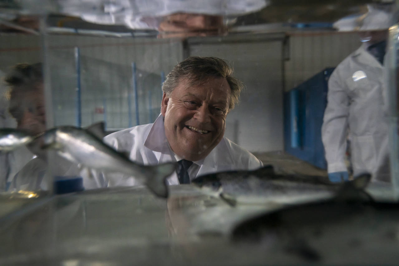 Fiskeriminister Harald T. Nesvik ser på laksesmolt under et besøk til Cermaqs anlegg i Punta Arenas. Foto: Heiko Junge / NTB scanpix