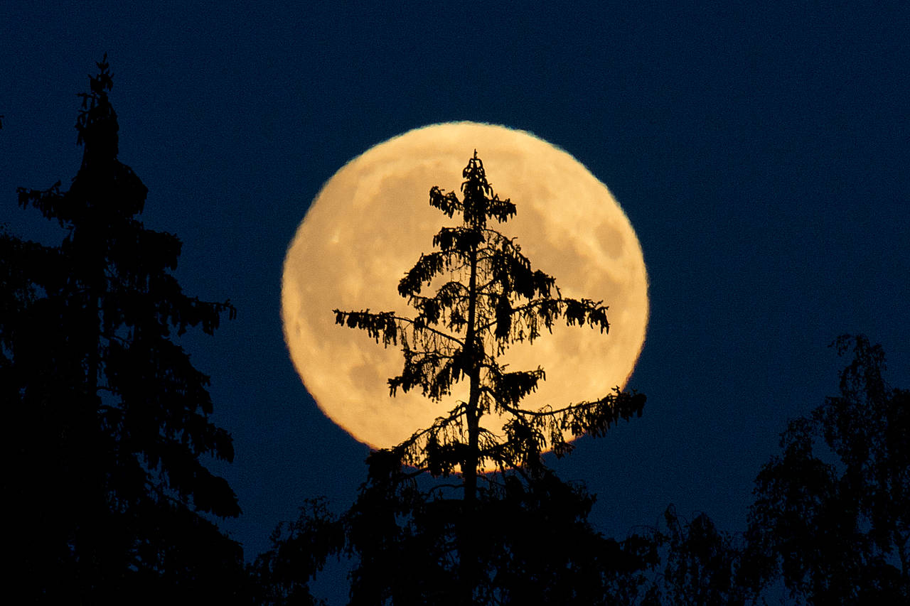 Fullmåner er tradisjonelt sett skumle greier, og for mange blir det ikke mindre skummelt av at det er fredag den 13. samtidig. Fredagens fullmåne er til og med en sjelden mikromåne, og det er 13 år til noe sånt skjer igjen. Illustrasjonsfoto: Jon Olav Nesvold / NTB scanpix