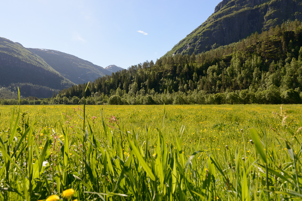 Tre prosent av landarealet i Norge er jord hvor det går an å dyrke mat, såkalt matjord. Norge er blant landene i verden med minst matjord per innbygger. Illustrasjonsfoto: Kurt Helge Røsand / KSU.NO