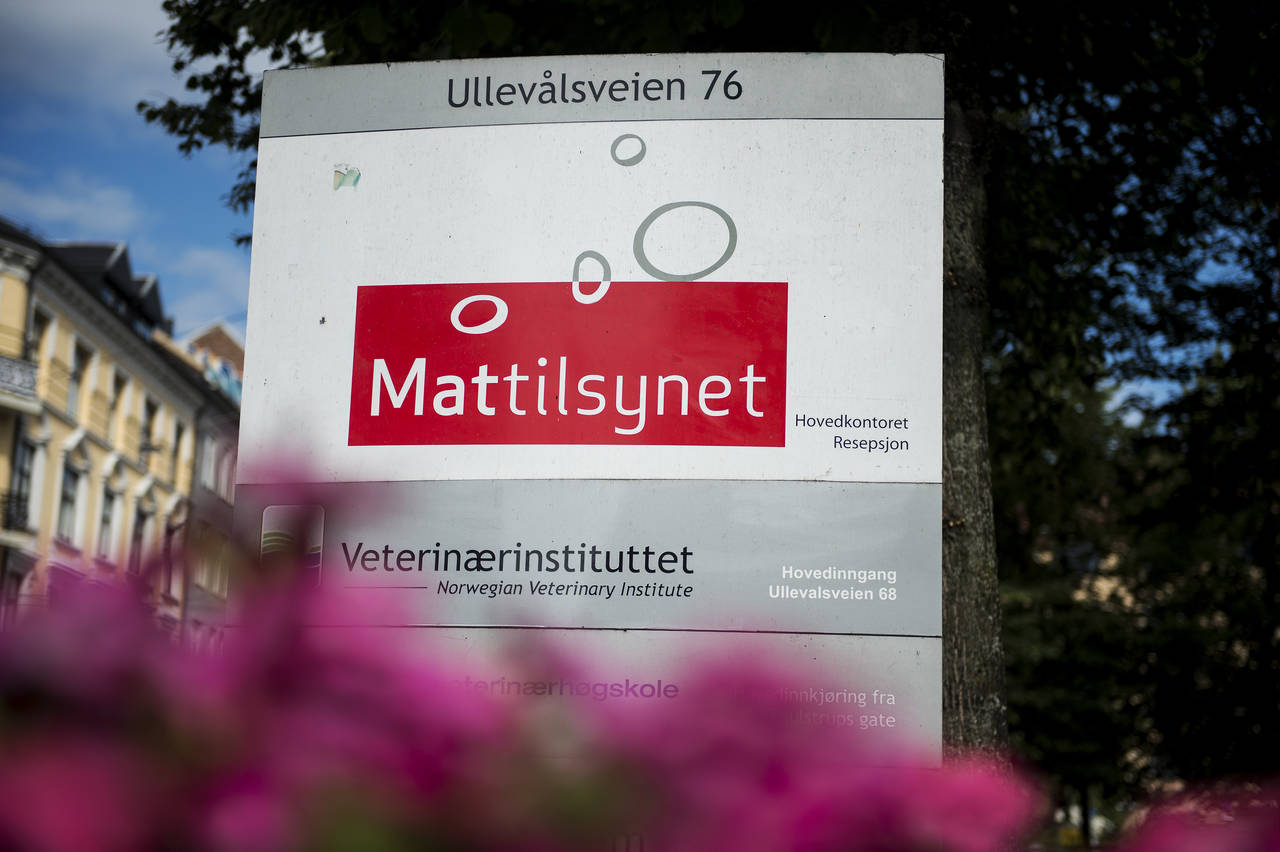 Kilden til salmonellafunnet er fortsatt ukjent, ifølge Mattilsynet. Foto: Carina Johansen / NTB scanpix