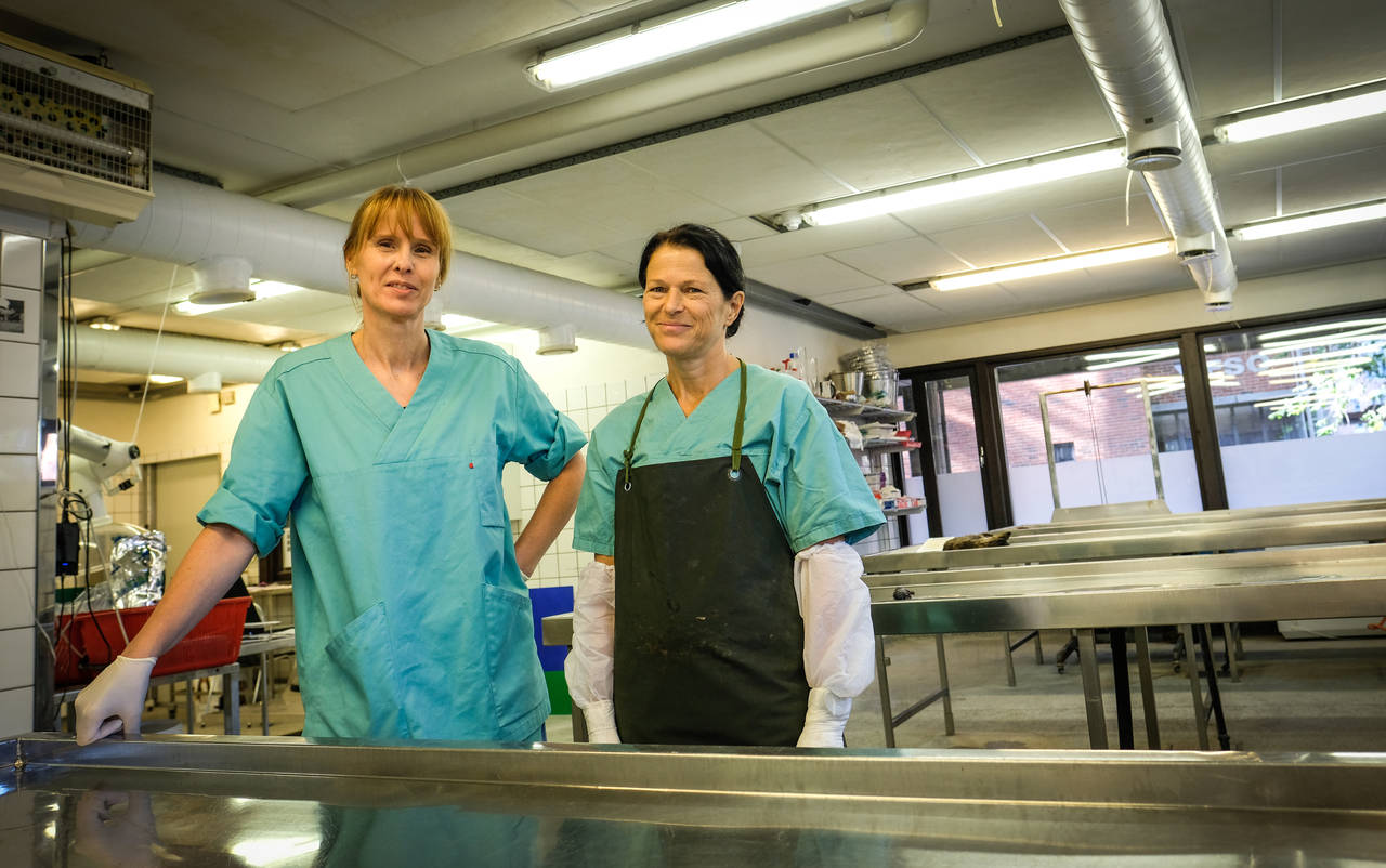 OVERTID: Patolog Helene Wisløff (t.h) og assistent Ingunn Ruud har jobbet lange dager - og flere ganger i helgene - for å knekke sykdomsgåten. FOTO: Axel Munthe-Kaas Hærland / NTB Tema