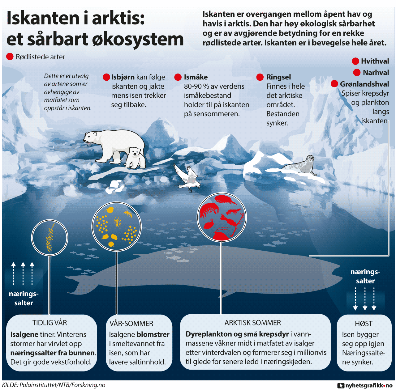 Iskanten er overgangen mellom åpent hav og havis i Arktis. Den har høy økologisk sårbarhet og er av avgjørende betydning for en rekke rødlistede arter. Iskanten er i bevegelse hele året.