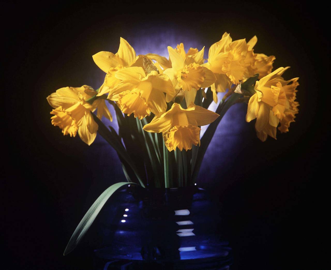 Bestillinger av blomster har økt kraftig etter at de strenge koronatiltakene trådte i kraft 12. mars. Illustrasjonsfoto: Pekka Sakki, Lehtikuva, NTB scanpix