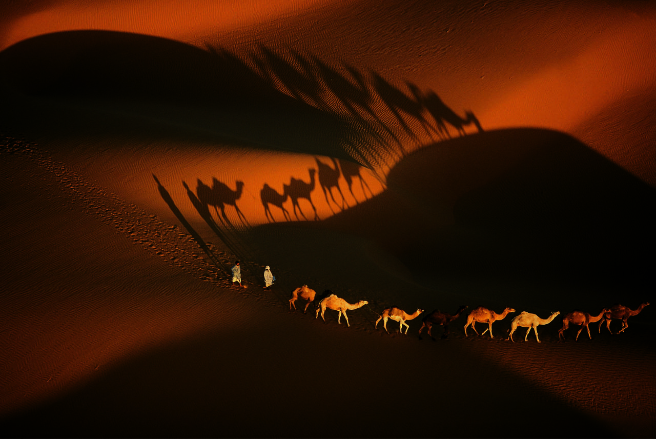 Покажи караван. Караван верблюдов в пустыне. Караван в пустыне ночью. Верблюд в пустыне. Пустыня закат Караван.