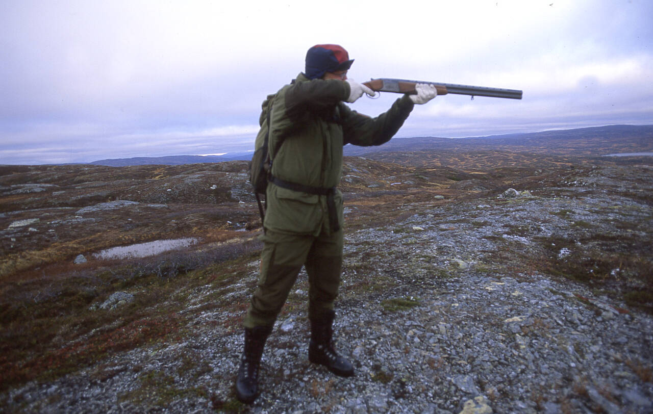 Det lysere ut for høstens fuglejakt i Norge etter at det var nedlagt forbud mange steder i fjor. Foto: Vidar Ruud / NTB scanpix