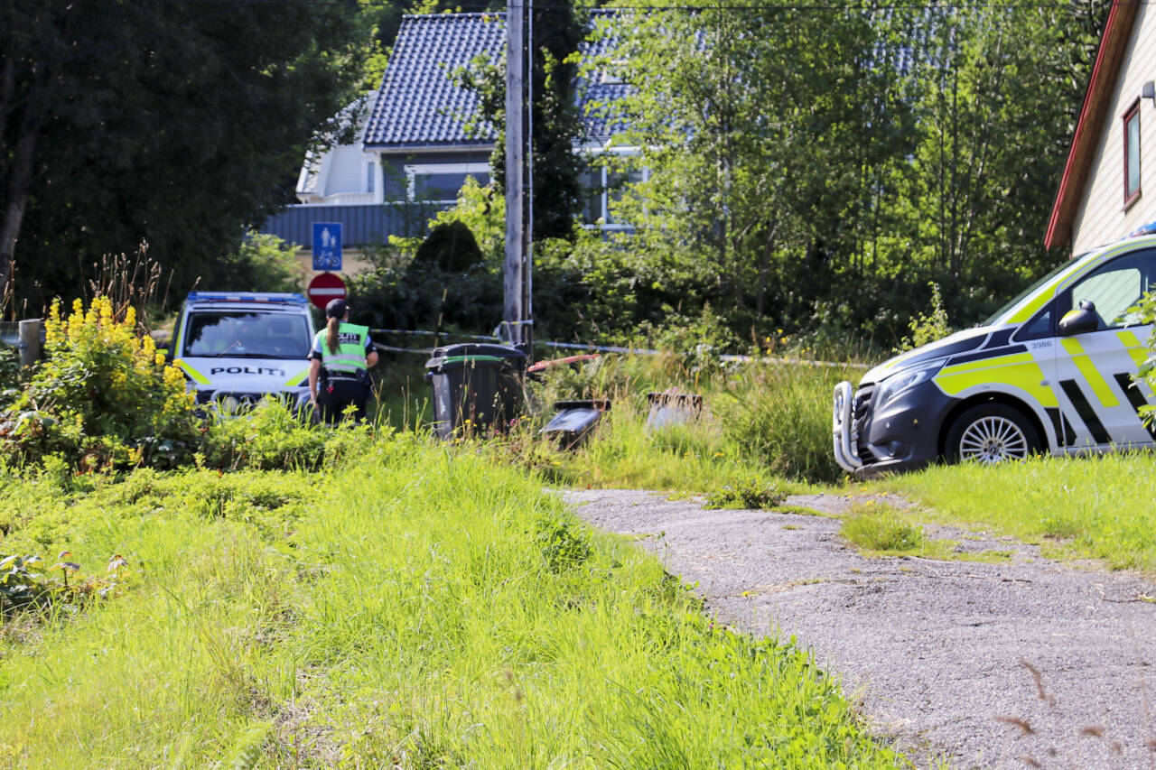 Politiet har onsdag ettermiddag avfyrt skudd i en politiaksjon i Brattvåg i Ålesund kommune. En skadd person er fraktet til sykehus. Foto: Janne Falch, lokalavisa Nordre / NTB scanpix