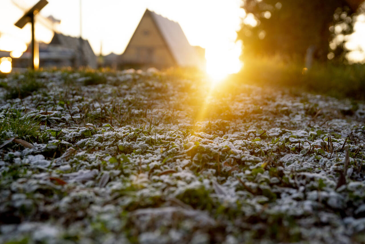 En mild vinter er mye av årsaken til at 2020 har vært rekordvarm, ifølge Meteorologisk institutt. Solen tittet fram i Oslo sentrum første juledag etter mye overskyet vær i hovedstaden så langt i desember. Foto: Fredrik Hagen / NTB
