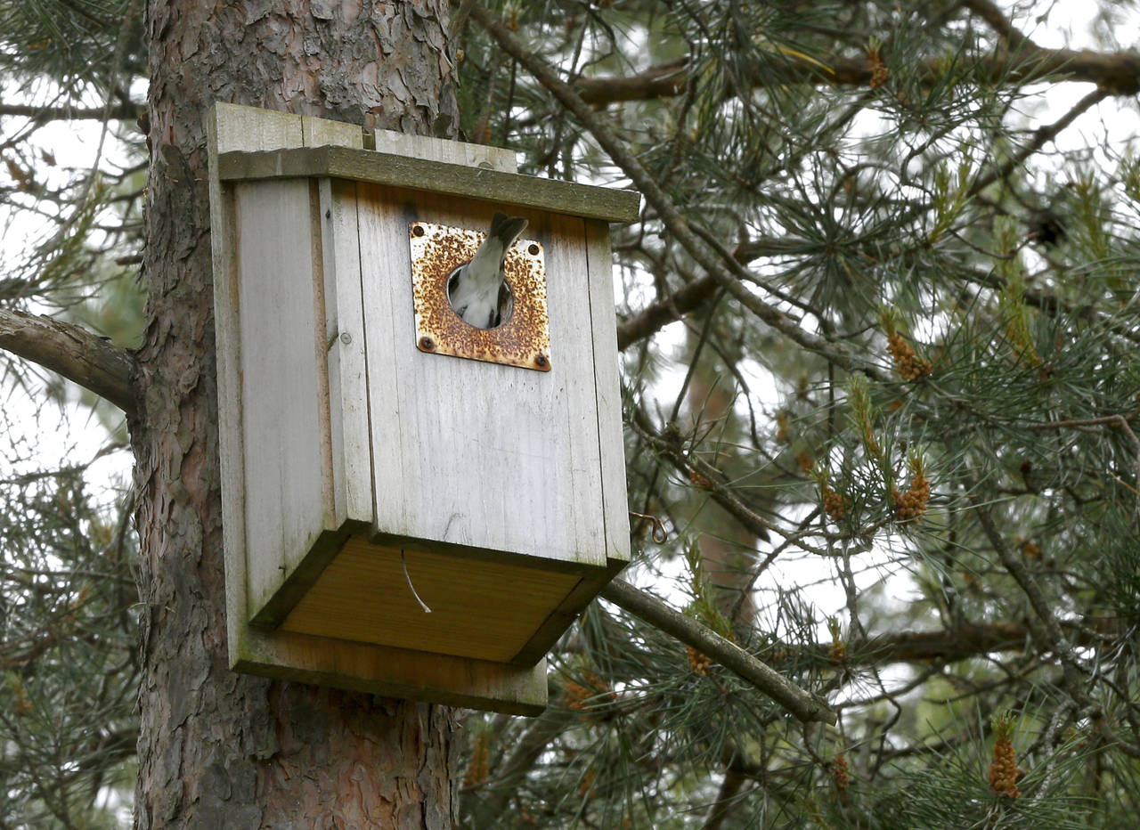 Foto: Terje Pedersen / NTB scanpix