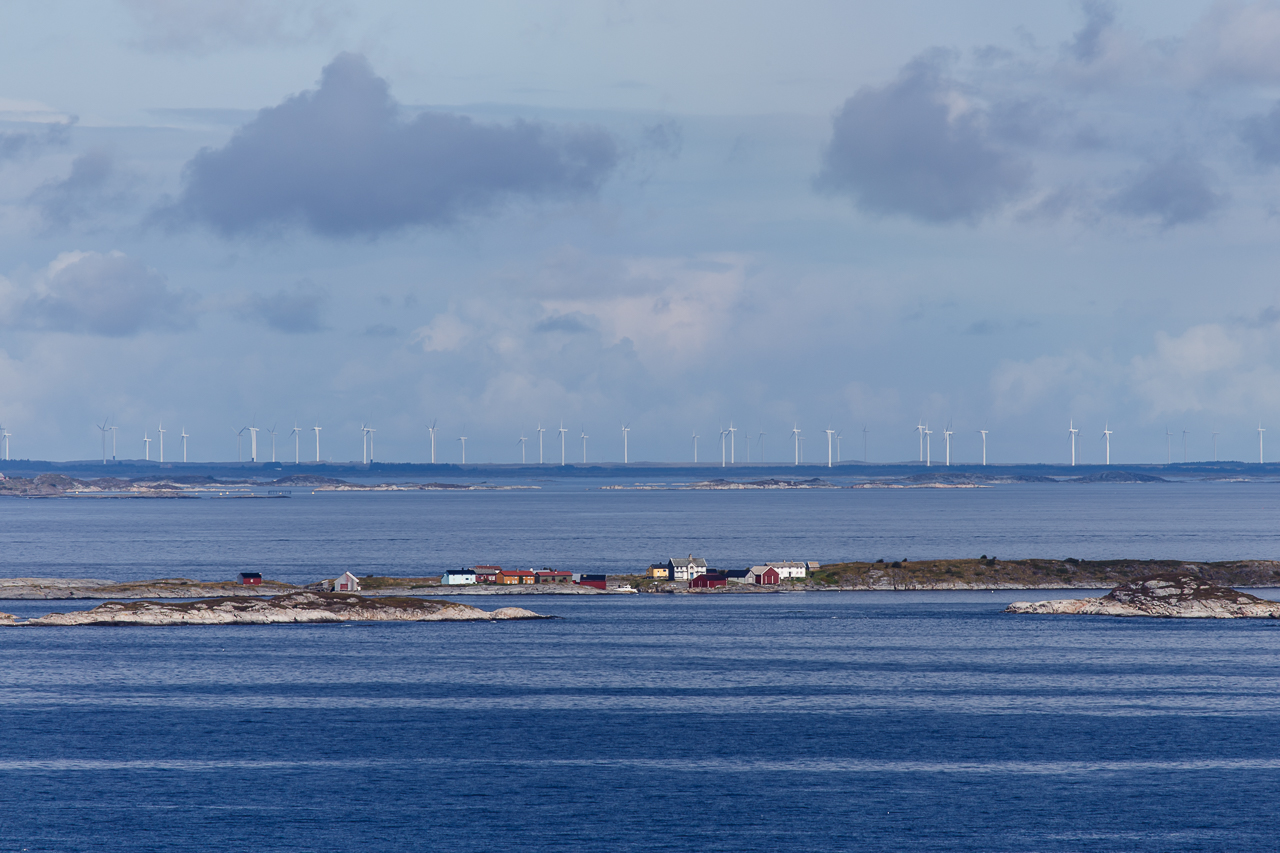 Illustrasjonsfoto av operativt vindkraftverk på Smøla på Nordmørskysten. Et sårbart område midt i leiea for trekkfugl som kanskje aldri ville vært vurdert som et vindindustriprosjekt i dag. Foto: Steinar Melby / KSU.NO