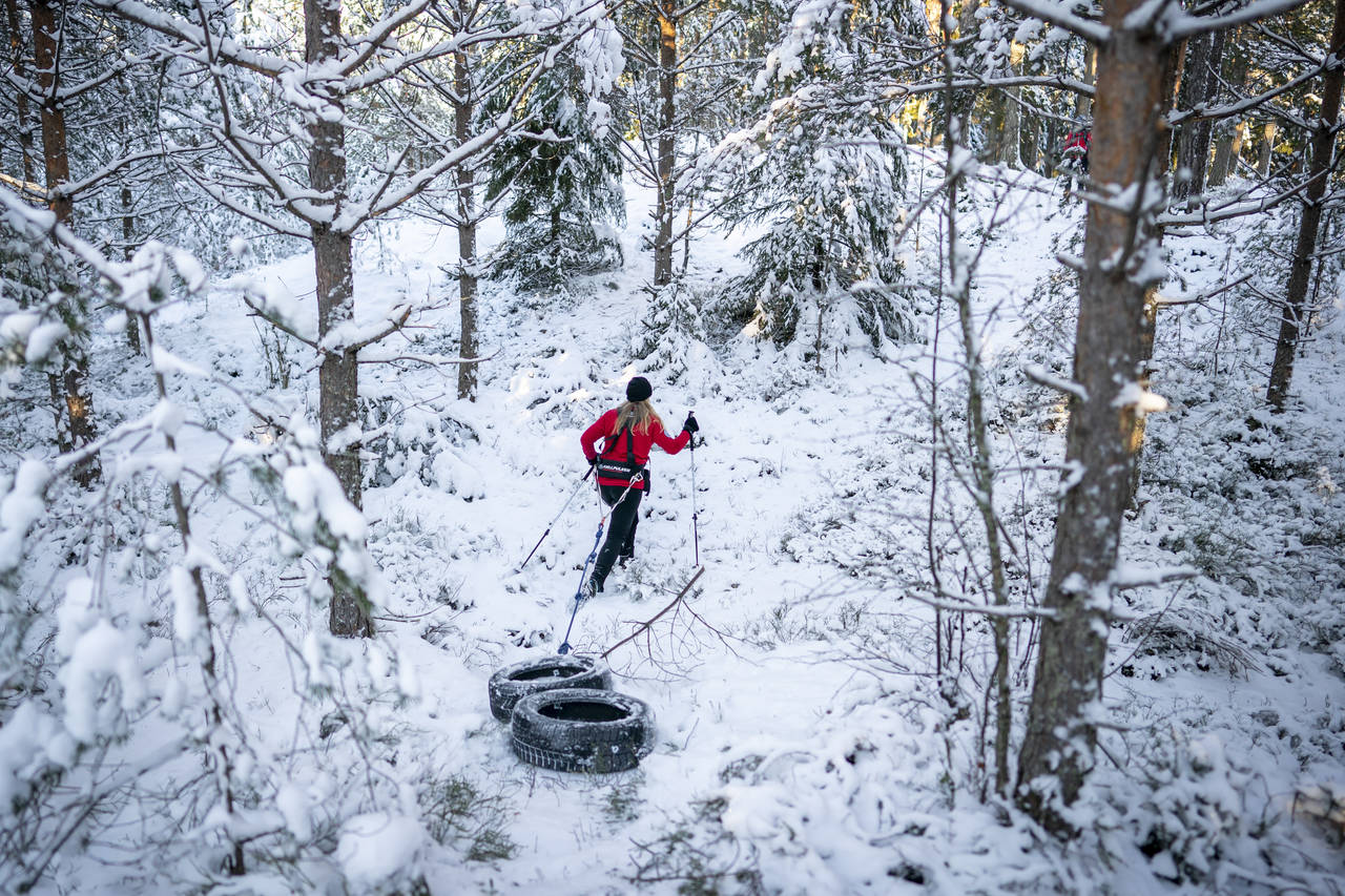 NATUROPPLEVELSER: Med gamle bildekk som brems går du sakte nok til å kunne nyte naturen rundt deg, samtidig som du får opp pulsen. FOTO: Heiko Junge / NTB scanpix