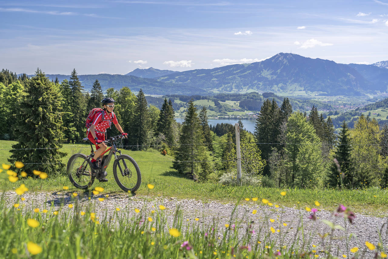 EVENTYR: Elsykkel kan være et utmerket valg for lange turer i variert terreng, så lenge du sørger for å lade batteriene daglig. FOTO: Shutterstock / NTB scanpix