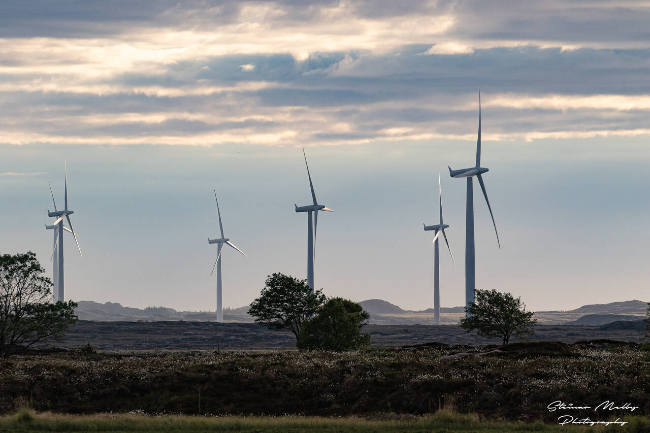 Illustrasjonsbilde av vindkraft. Foto: Steinar Melby