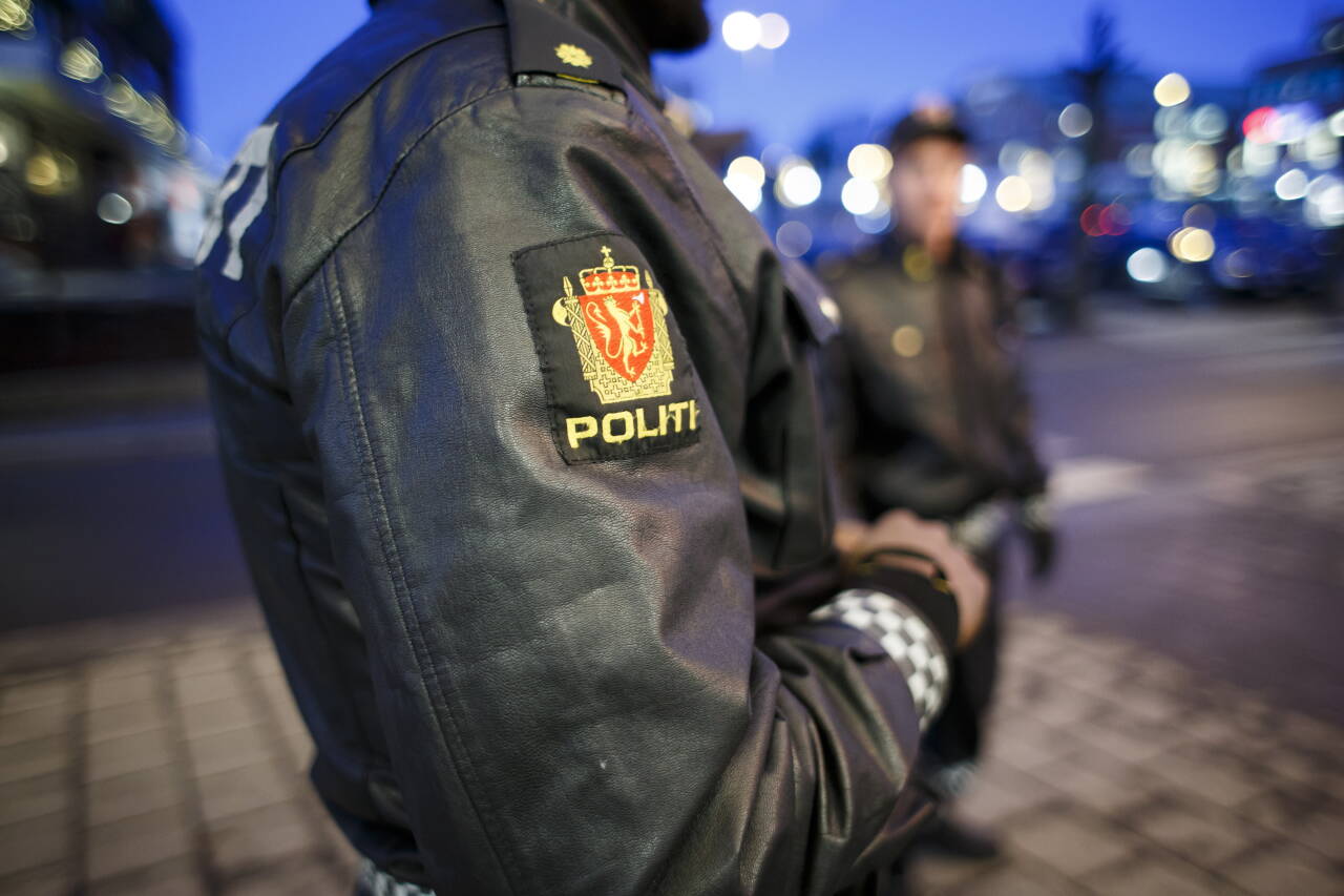 Politiet over hele landet har hatt en travel natt med mye fyll og spetakkel.Illustrasjonsfoto: Heiko Junge / NTB scanpix