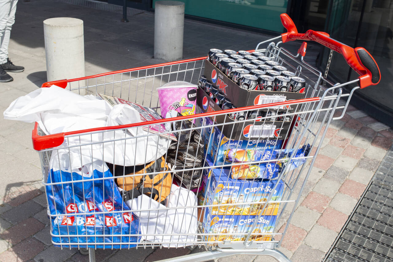 Illustrasjonsbilde av fylt kundevogn ved Charlottenberg shoppingcenter lørdag etter grenseåpningen. Foto: Annika Byrde / NTB scanpix