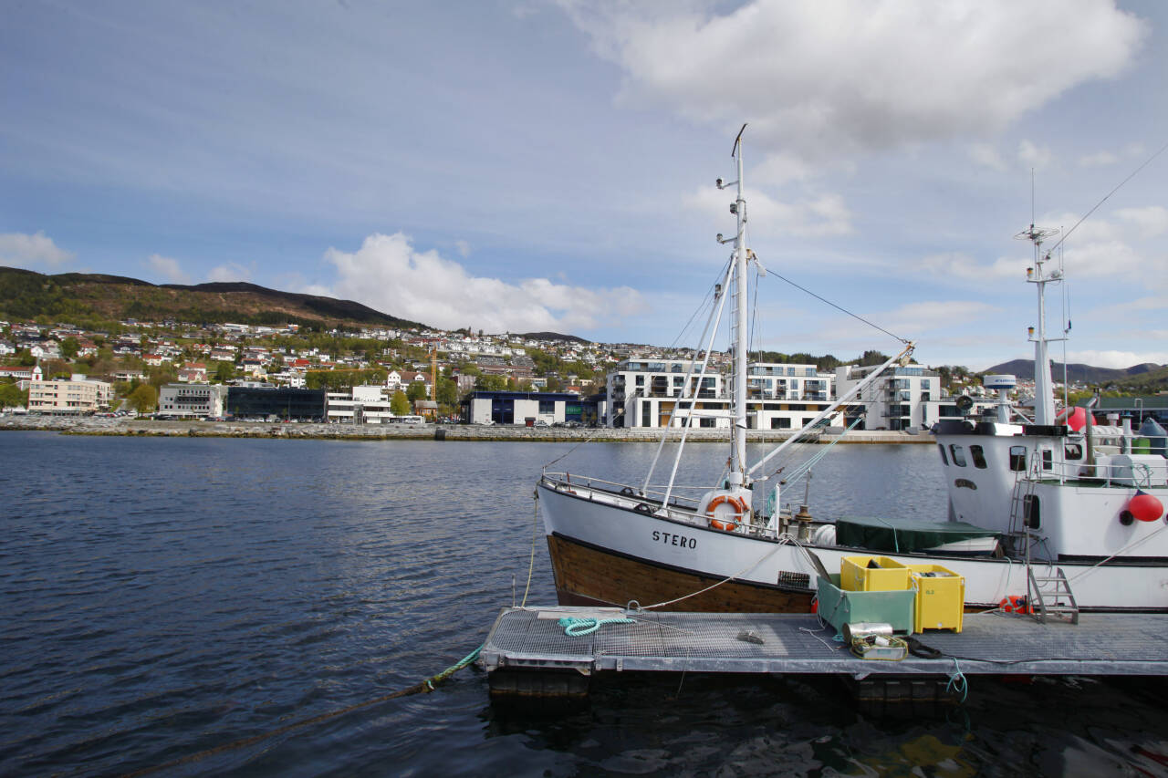 Norge og Storbritannia forhandler blant annet om en ny fiskeriavtale. Foto: Halvard Alvik / NTB scanpix.