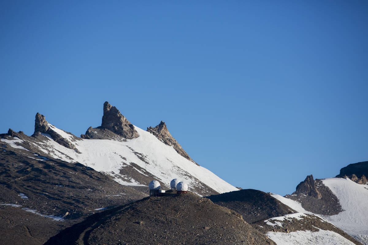 Det er karrige kår for dyreliv på land i Antarktis, men noen organismer klamrere seg fast i de områdene som ikke er dekket av snø og is. Illustrasjonsfoto: Tore Meek / NTB scanpix