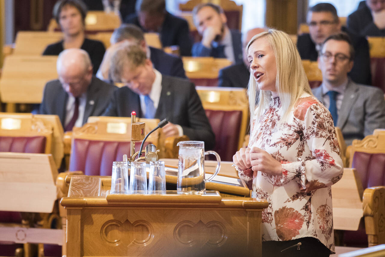 Lene Vågslid (Ap) under en muntlig spørretime i Stortinget. Foto: Håkon Mosvold Larsen / NTB scanpix