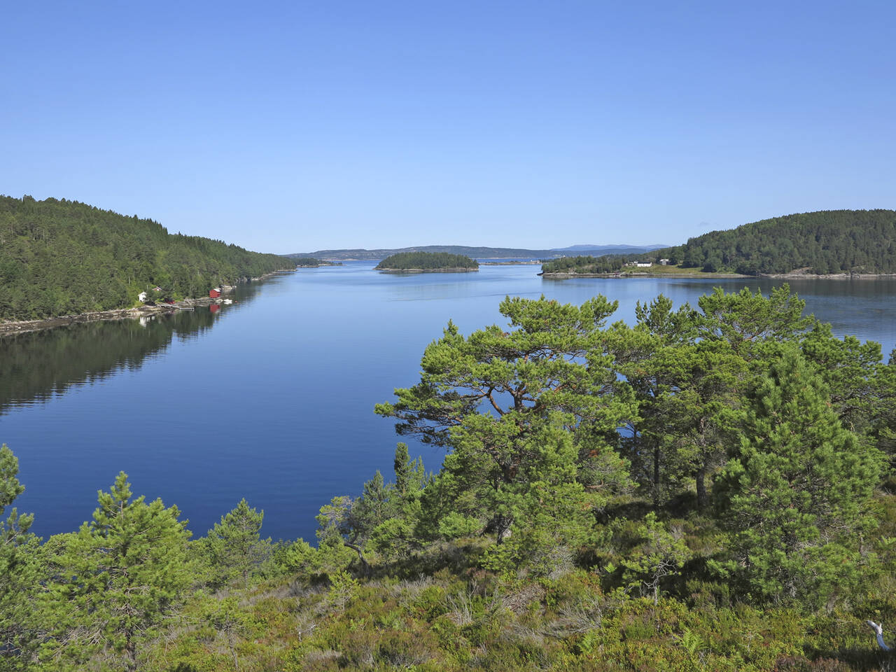 Utsikt fra rasteplassen ved Mjosundbrua.  Foto: Terje Holm