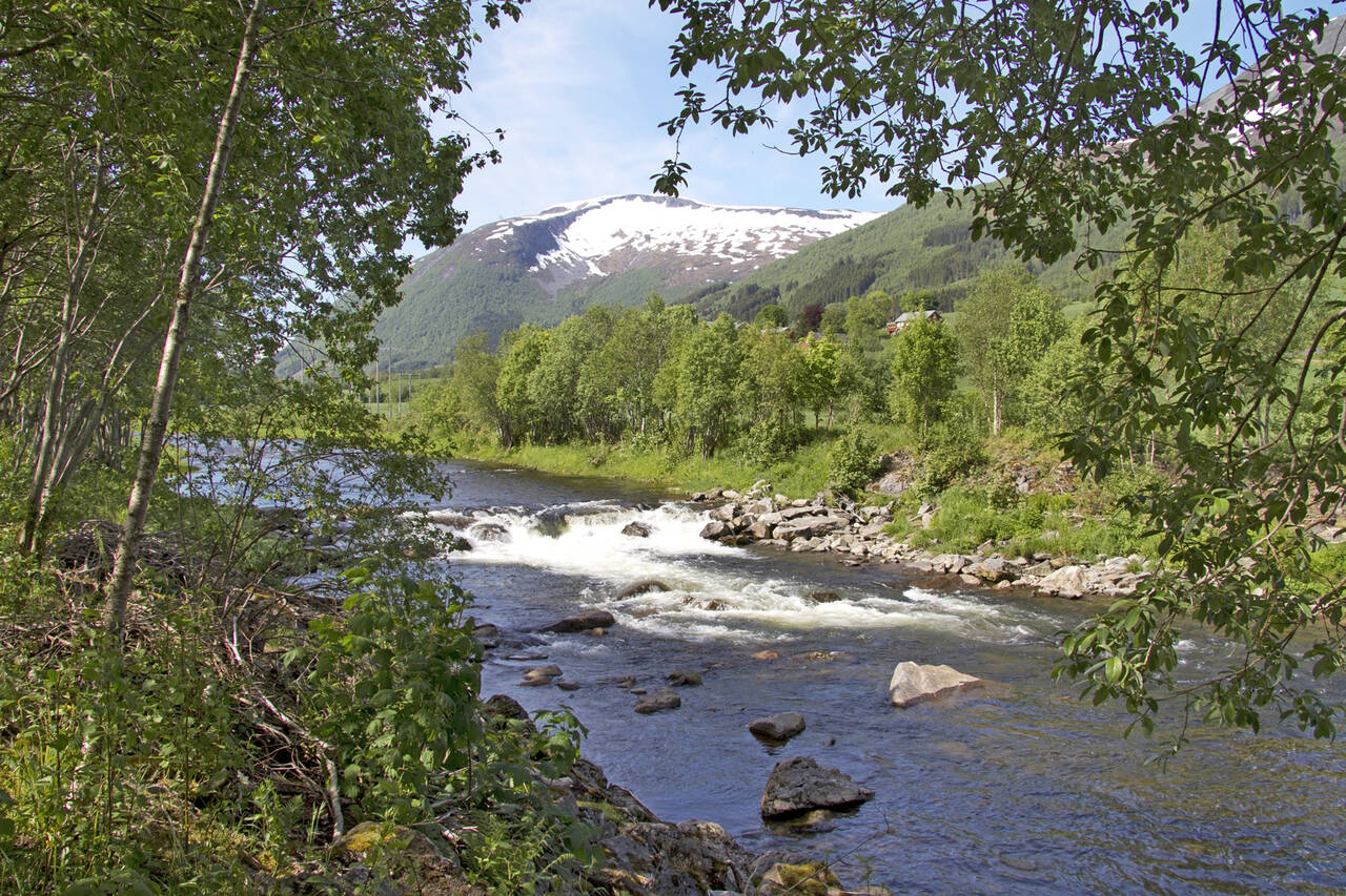 Elvastien i Batnfjord. Foto: Terje Holm