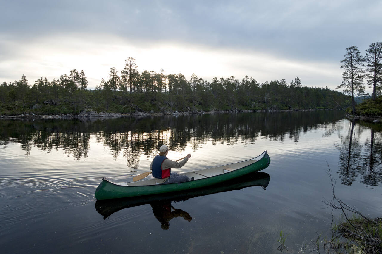 STILLE: Finnes det en mer avslappende friluftsaktivitet enn kanopadling? Foto: Gorm Kallestad / NTB scanpix
