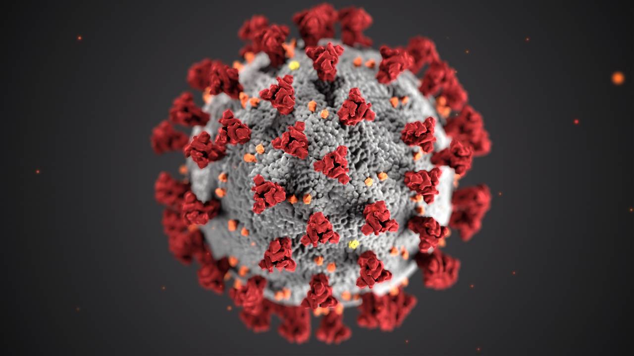 Koronavirus. Foto: CDC på nettstedet Unsplash.com