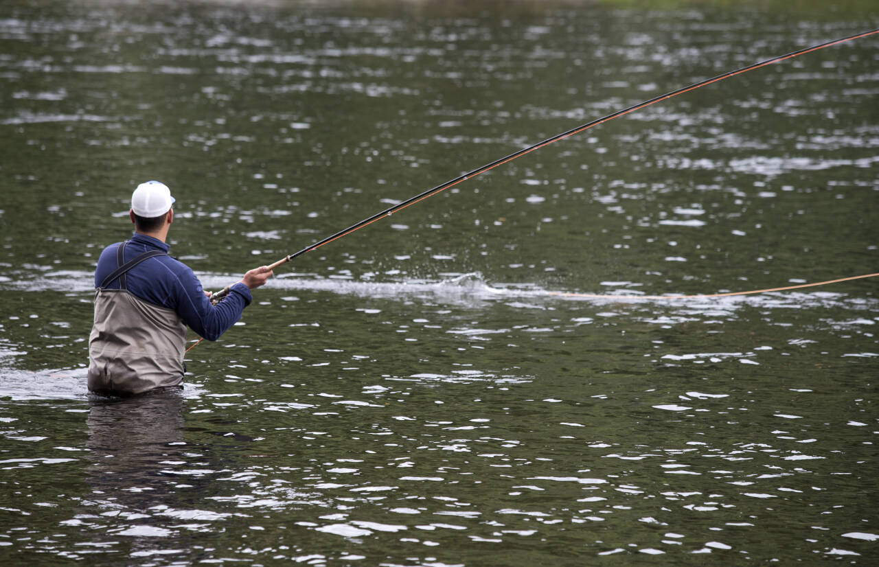 Nesten 130.000 laks ble i sommer fanget i norske elver. Foto: Terje Bendiksby / NTB