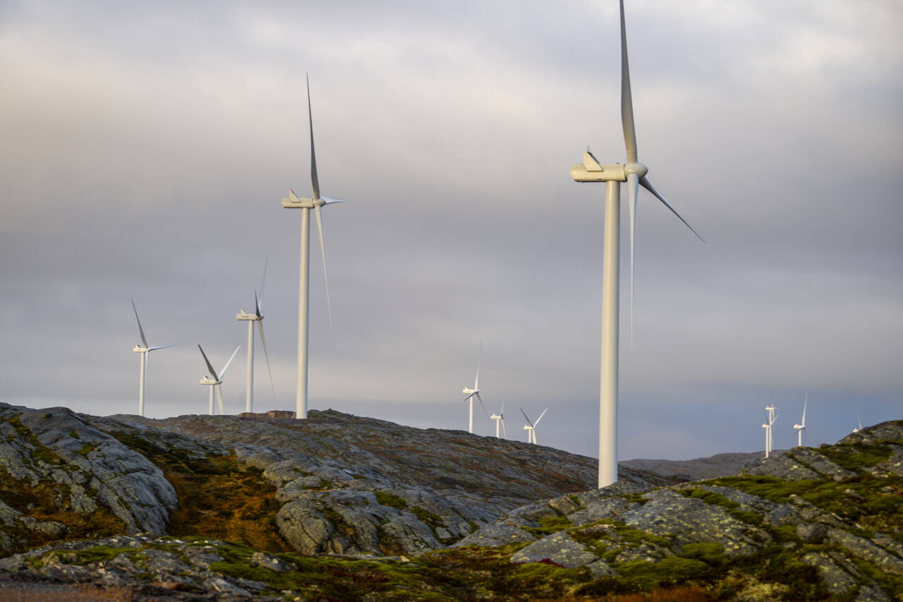 Storheia vindpark er den største av vindparkene i porteføljen til Fosen Vind og den andre av vindparkene som ble bygget. Men utbygging av vindkraft på land er blitt en omstridt sak også internt i flere politiske partier.Foto: Heiko Junge / NTB