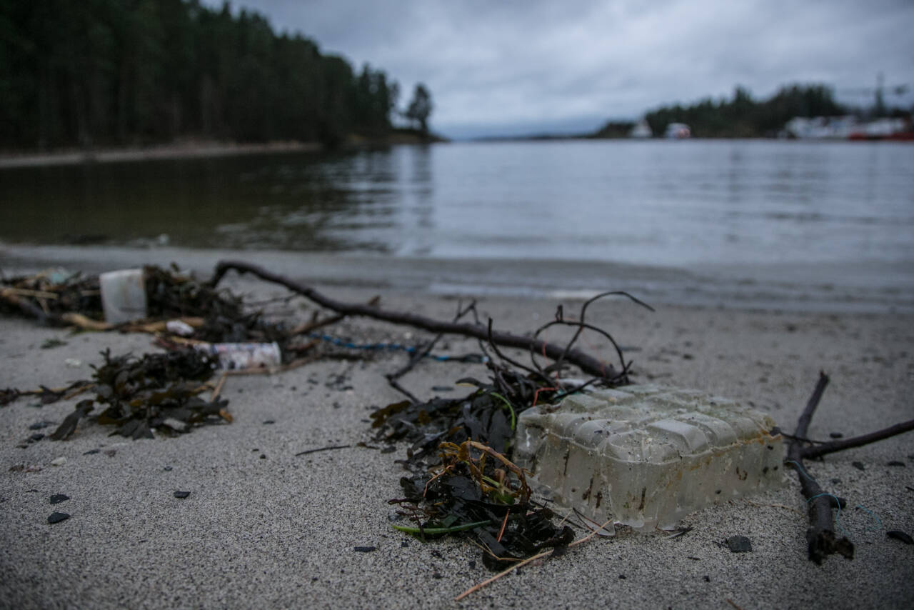 40 prosent av kysten i Norge skal de neste tre årene ryddes for plast. Foto: Audun Braastad / NTB