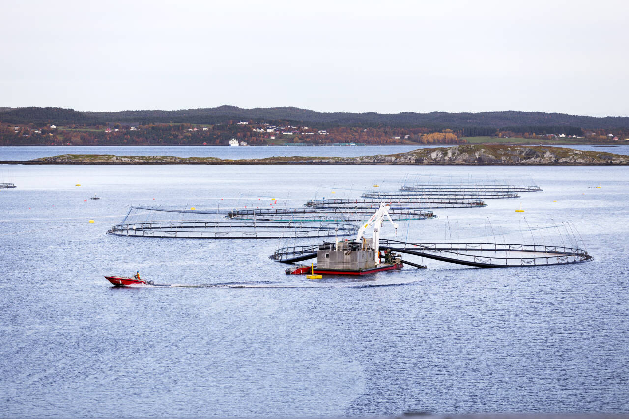 Illustrasjonsfoto av oppdrettsanlegg. Foto: Gorm Kallestad / NTB