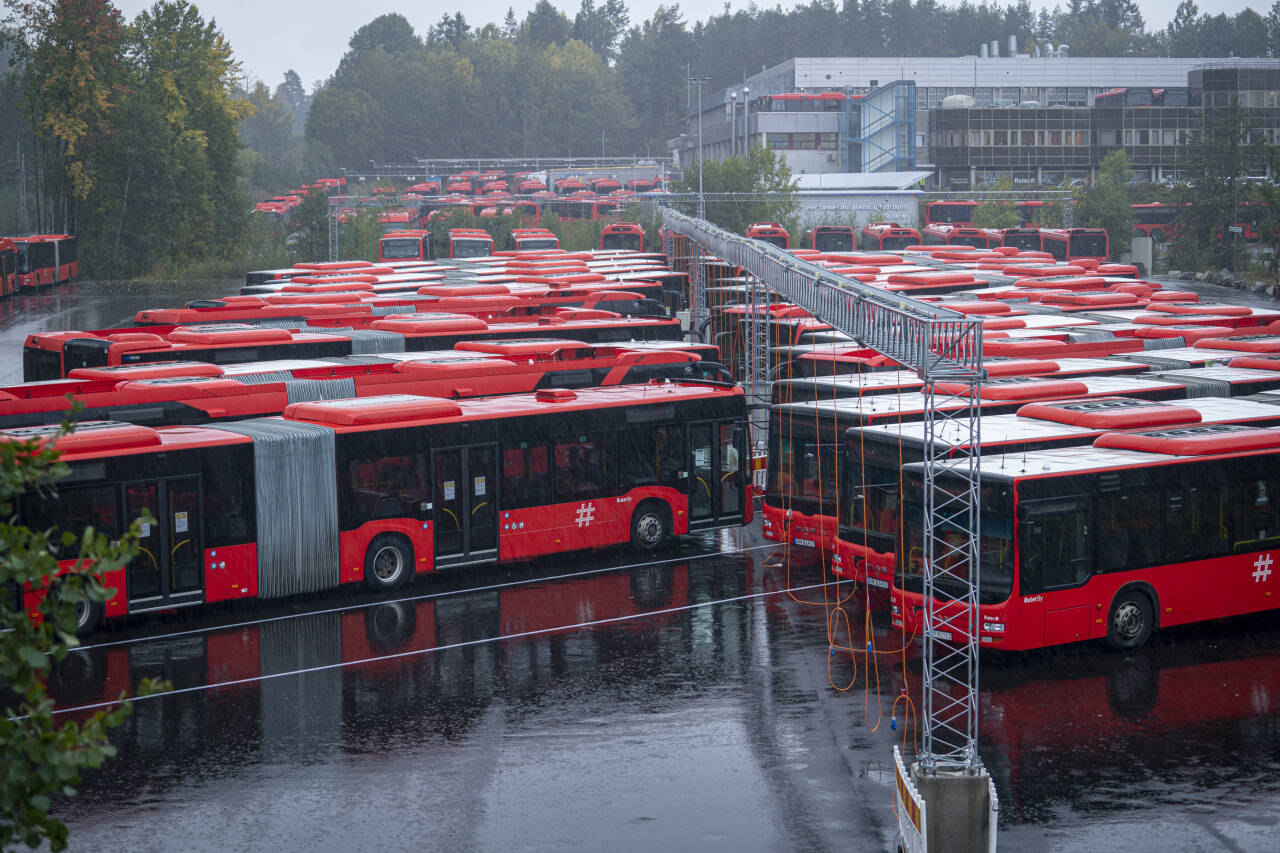 Unibuss sine buser står parkert på Rosenholm i Oslo.Foto: Heiko Junge / NTB