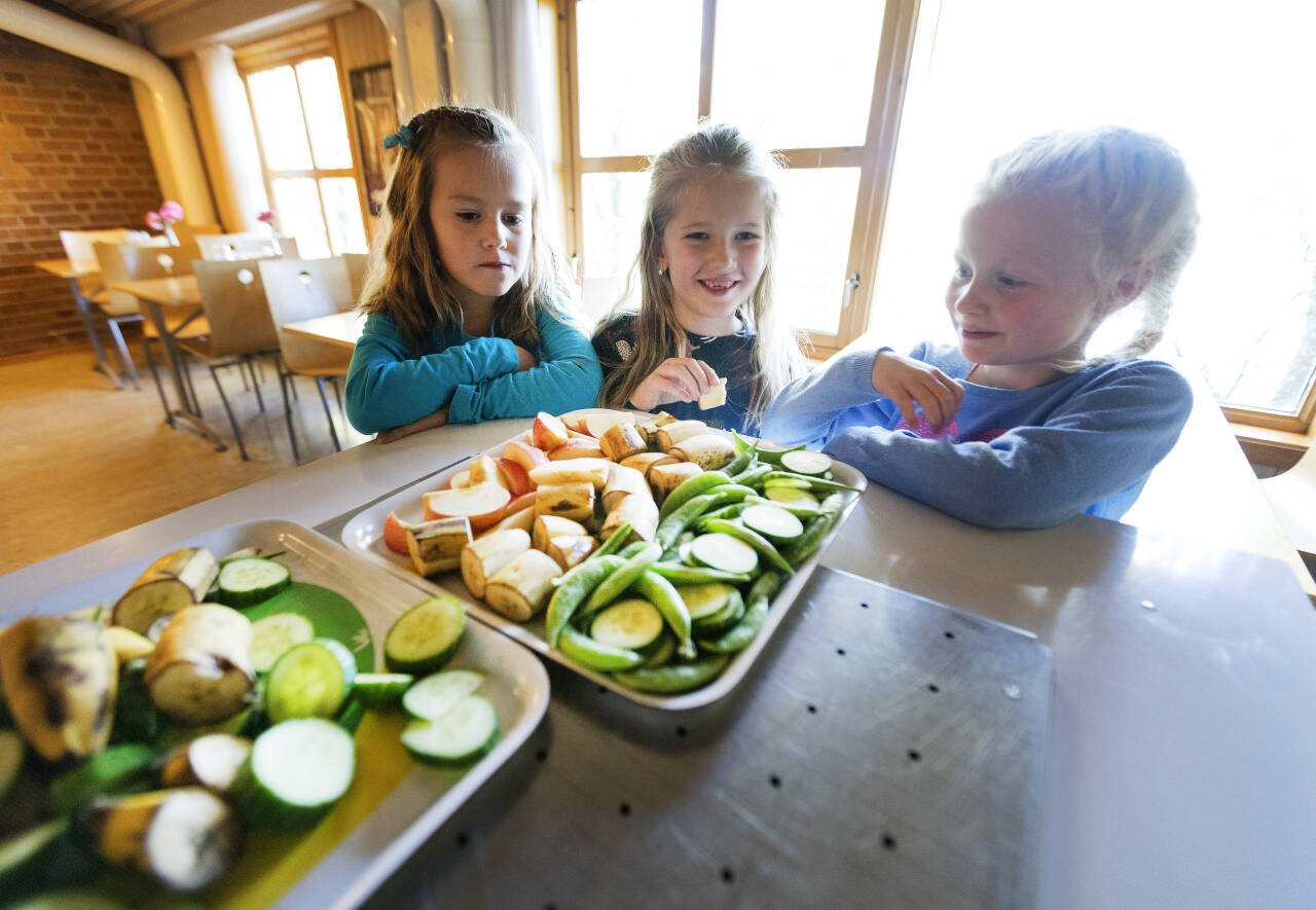 Sunn skolemat er blant tiltakene Norge burde innføre, mener et ekspertpanel med forskere fra Oslo Met. Foto: Gorm Kallestad / NTB scanpix