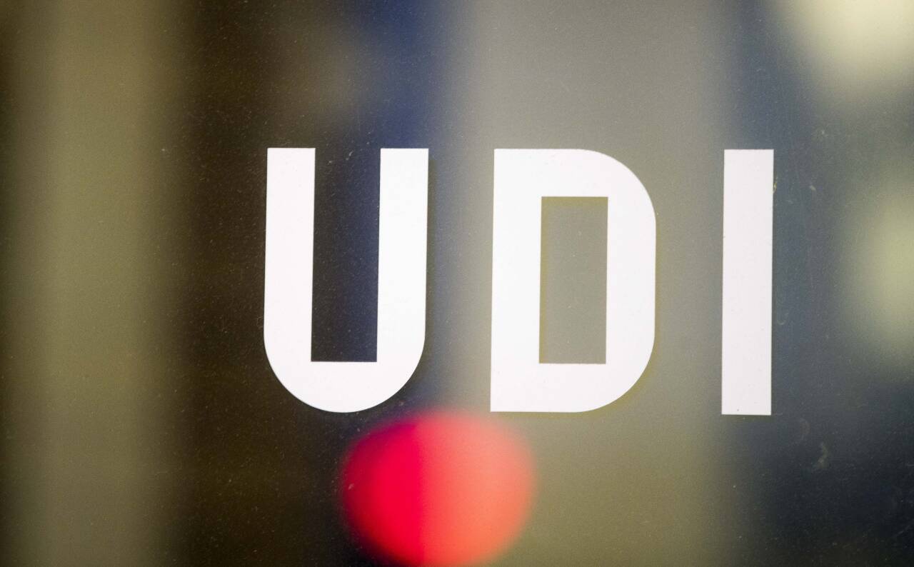 Udi nyheter 2020