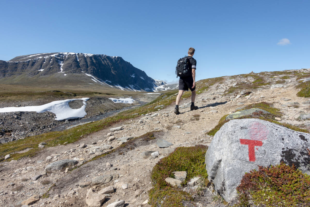 Illustrasjonsfoto: Gorm Kallestad / NTB scanpix