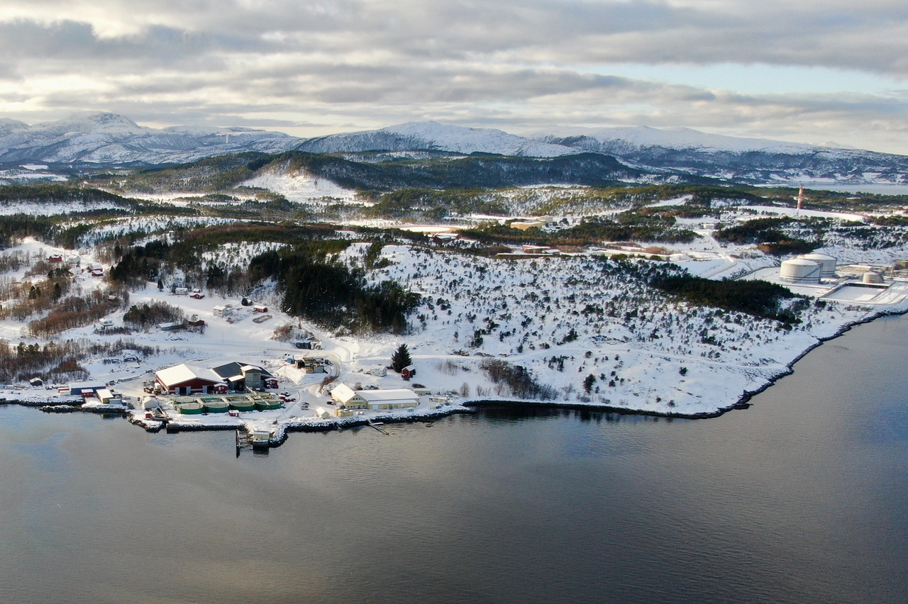 Salfjord sin industritomt med vei ligger mellom de eksisterende  anleggene til Bioparken og Equinor sitt prosessanlegg på Tjeldbergodden i Aure.