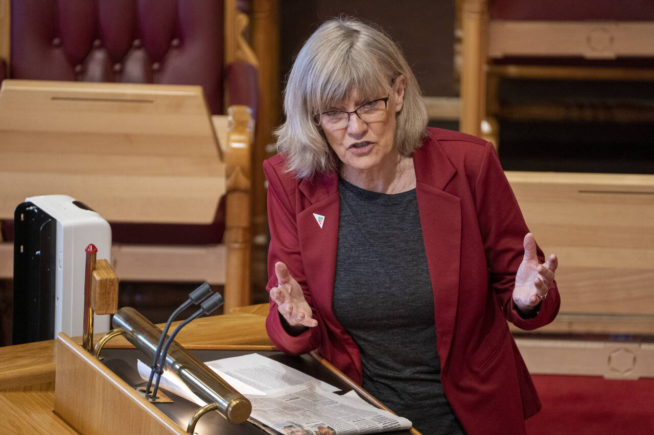 SVs Karin Andersen (SV) her under en tidligere muntlig spørretime på Stortinget.Foto: Terje Pedersen / NTB