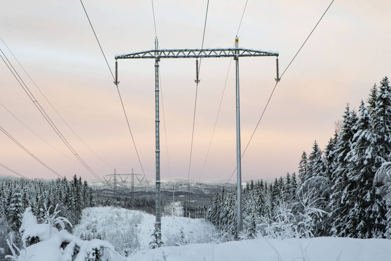 Ofte er det høyest strømpriser når det er kaldt ute, men i år er årets hittil høyeste pris midt på sommeren. Foto: Paul Kleiven / NTB