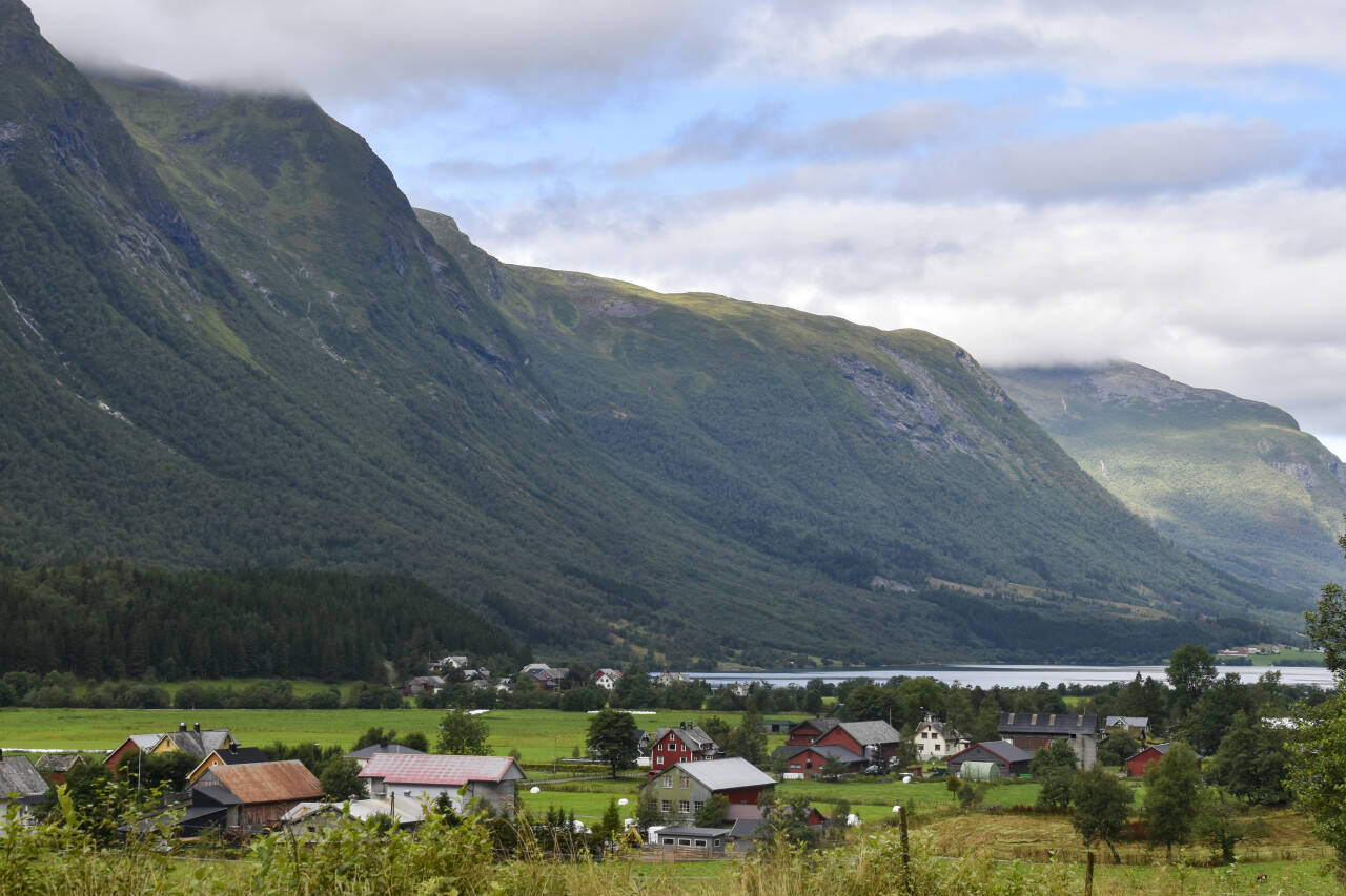 Oversiktsbilde fra Velledalen i Sykkylven kommune, der to personer søndag ble funnet døde. Politiet mistenker at de har blitt drept av okser.Foto: Christine Fohlin Verneland, Nyss / NTB