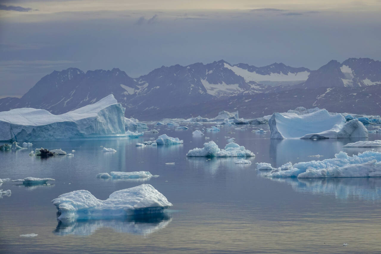 Drivende isfjell i Sermilikfjorden øst på Grønland. Lokalt og regionalt kan klimaet påvirkes av naturlige svingninger, som kommer i tillegg til den langsiktige globale oppvarmingen. Foto: Heiko Junge / NTB