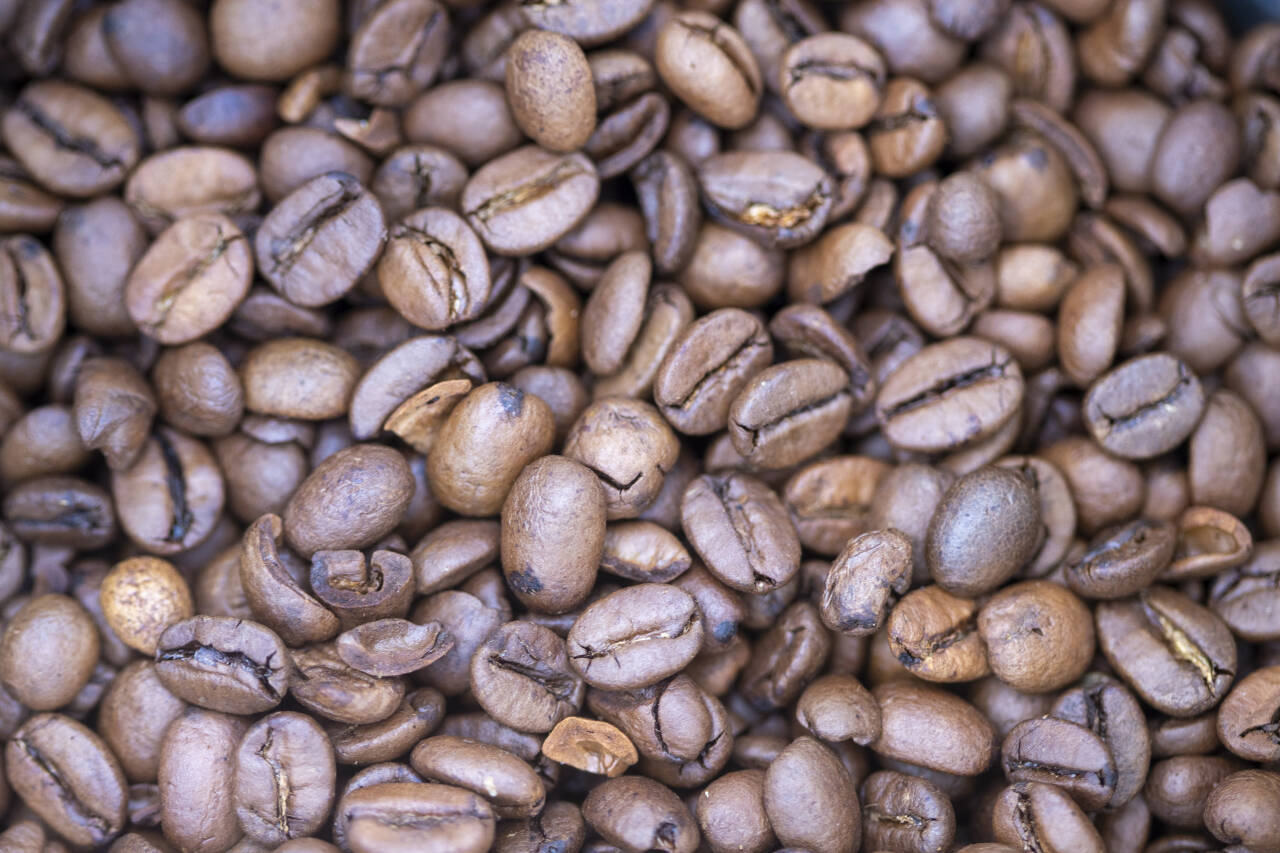 Prisen på kaffebønner har skutt i været i år. Foto: Terje Pedersen / NTB