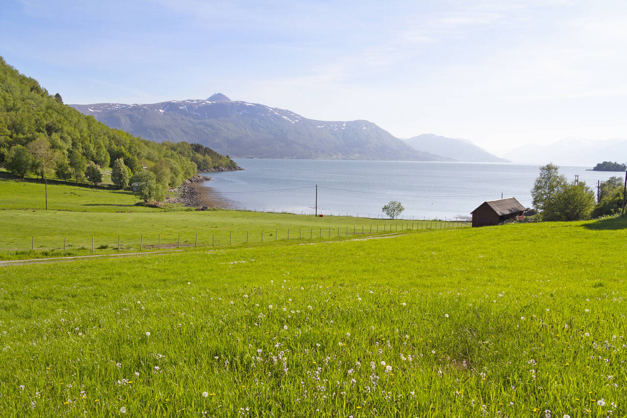 Flott utsikt mot fjord og fjell.  Foto: Terje Holm