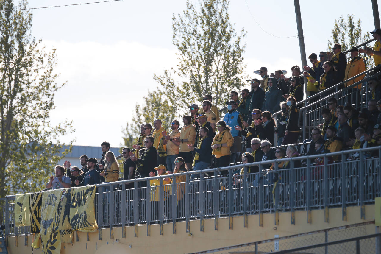 Bodø/Glimt-supportere på tribunen under en kamp på Aspmyra. Det ekstraordinære årsmøtet i klubben gikk torsdag inn for norsk boikott av Qatar-VM. Foto: Mats Torbergsen / NTB